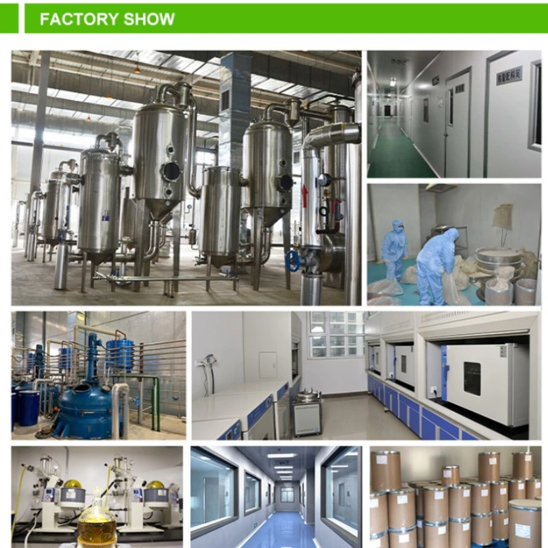 Comext Factory Health Pruduct for Anti-Oxidant Used in Pharmaceutical Product Chage Mushroom Extract